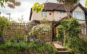 Avalon House B&B